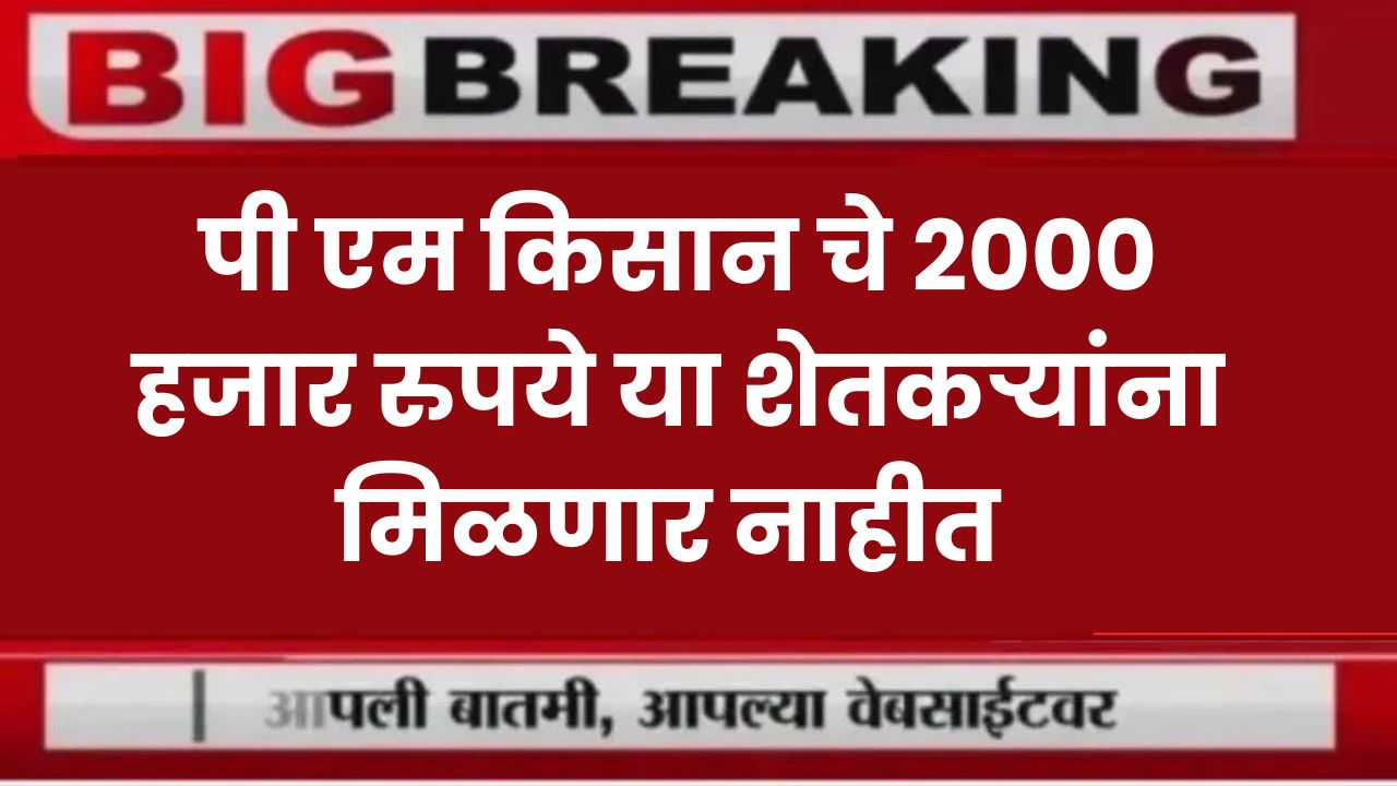pm kisan scheme list