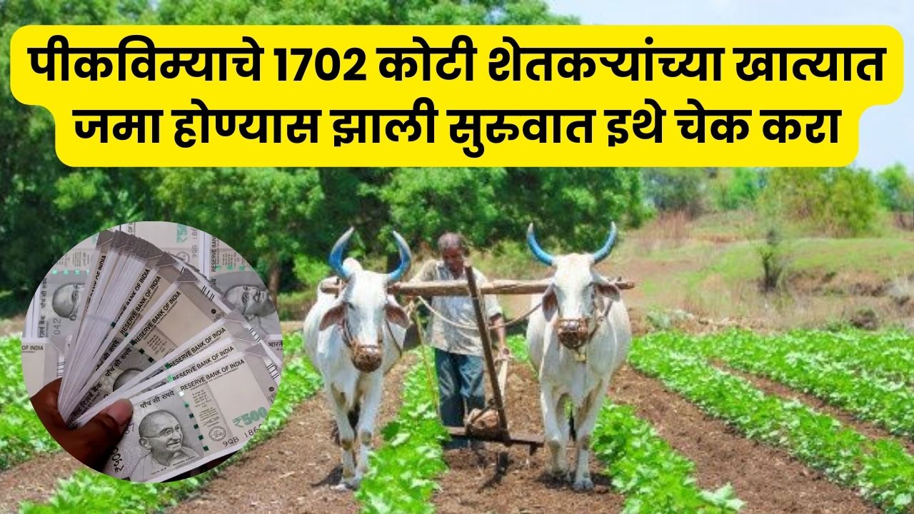 Farmers Crop List