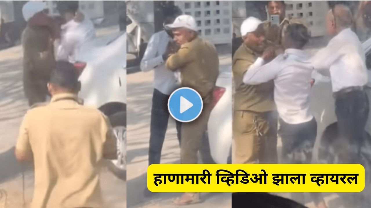 Passenger bus driver fight videos 2025