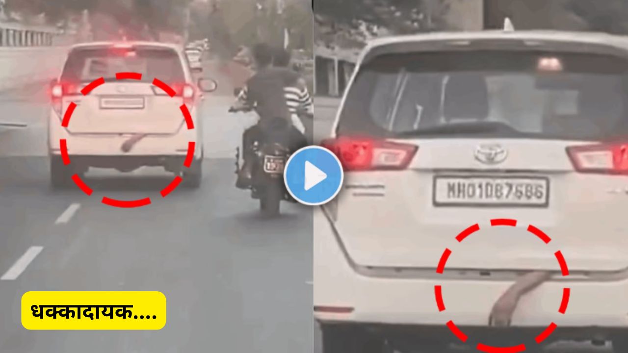Hand Hanging in Cars Boot Video